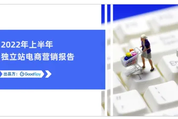GoodSpy：2022年上半年独立站电商营销报告