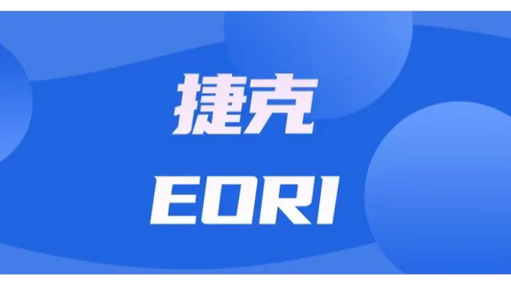 欧盟EORI深度剖析：聚焦捷克申请新要点！