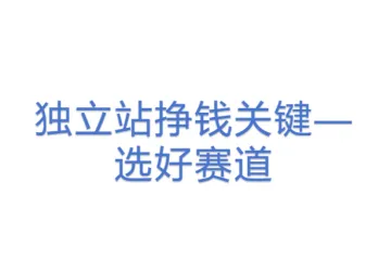 独立站挣钱关键—选好赛道