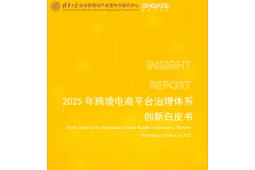 2025年跨境电商平台治理体系创新白皮书