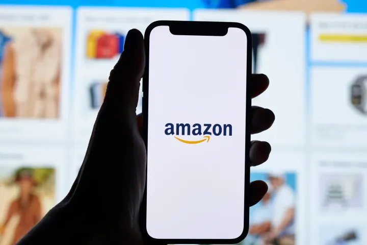 亚马逊流量结构分析