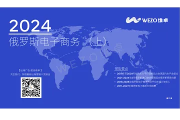 2024俄罗斯电子商务分析