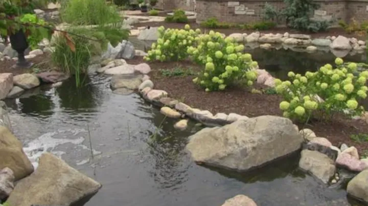 中国品牌暂时无法涉足的生意，想要冲进水景赛道必须先参考Aquascape