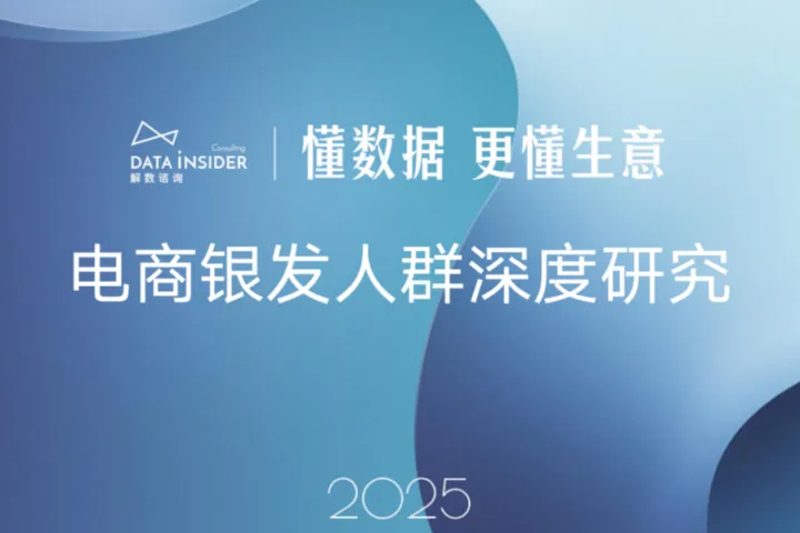 解数咨询：<em>2025</em>电商银<em>发</em>人群深度研究报告