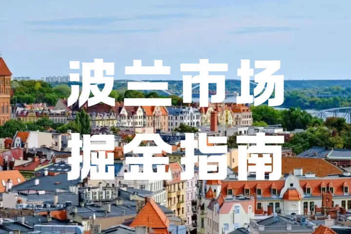 2026入驻Allegro正当时，波兰电商平台新规全解析！