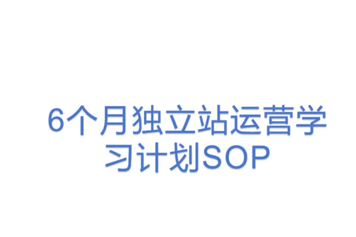 <em>6</em>个月独立站运营学习计划SOP