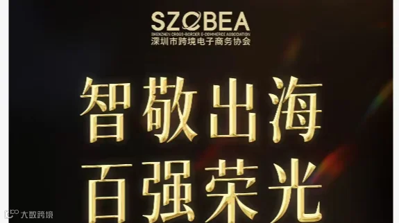 智敬出海 百强荣光