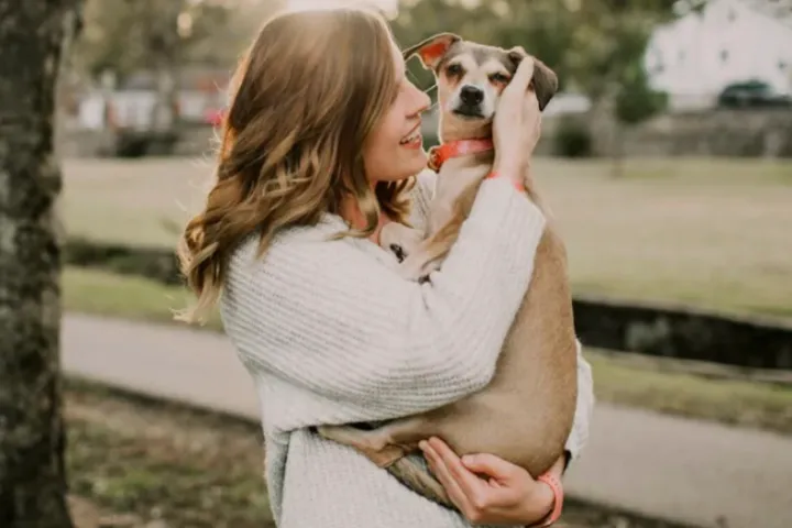 冷门宠物丧葬赛道，造就这家年营收超900万美金的品牌