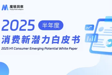 魔镜洞察：2025半年度消费新潜力白皮书