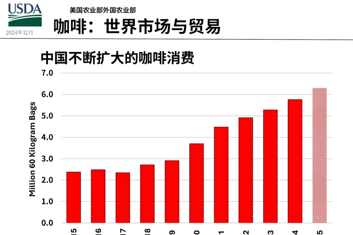 2024年全球咖啡市場和貿易報告12月版