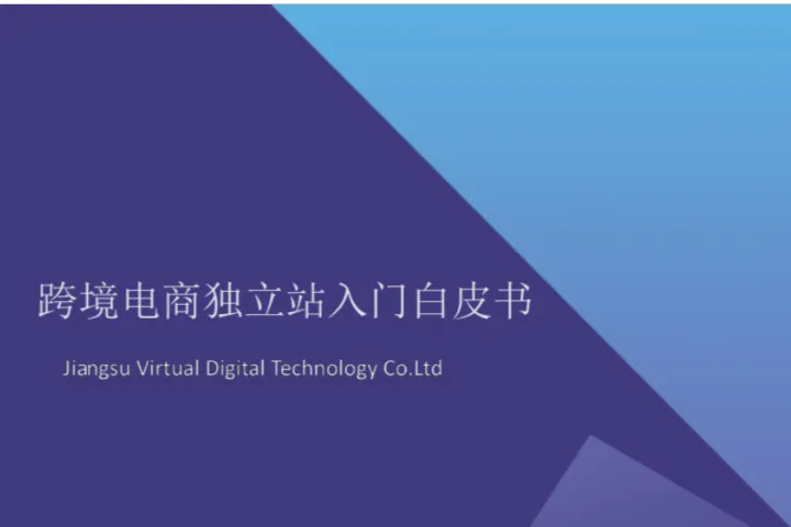 易诺：2024年跨境电商独立站入门白皮书（46页）