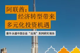 普华永道:2025中国企业出海系列研究报告-阿联酋经济转型带来多元化投资机遇
