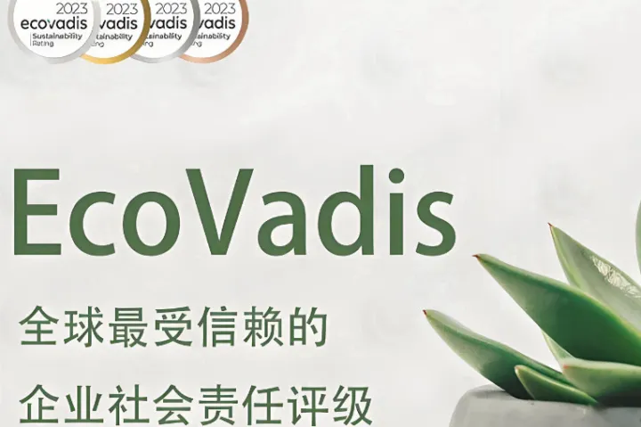 【专业推荐】2025年EcoVadis评估咨询公司TOP5：高效提升供应链可持续性