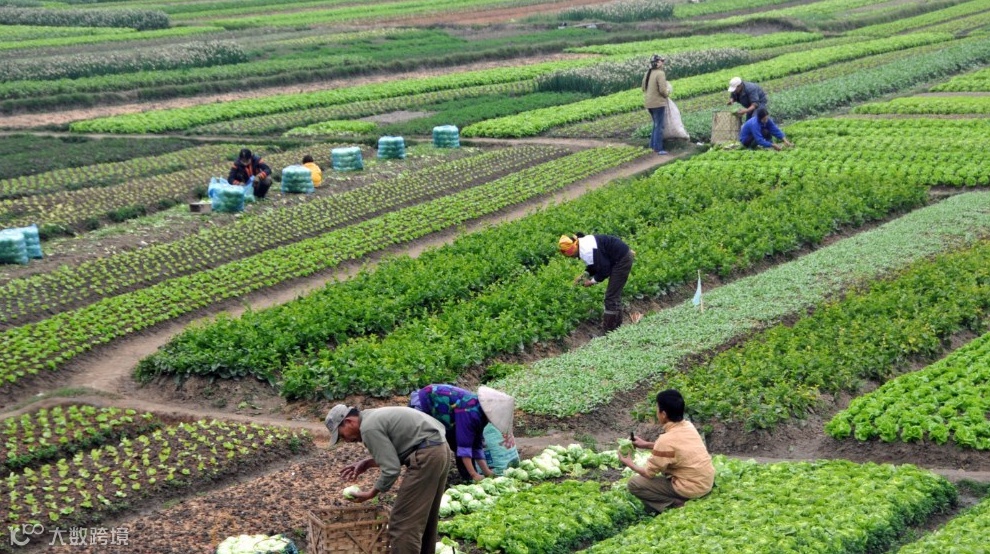 出海与一带一路非传统风险洞察