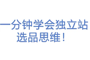 一分钟学会独立站选品思维！