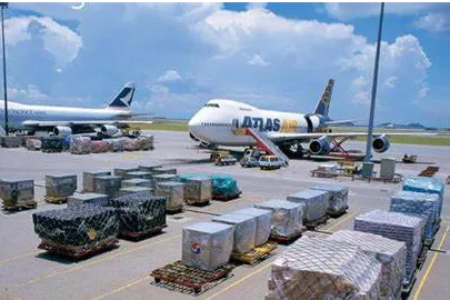 哪一类企业抵御航空货运周期的能力最强？