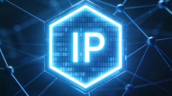 固定 IP，不是为了“稳定”，而是为了“可解释”