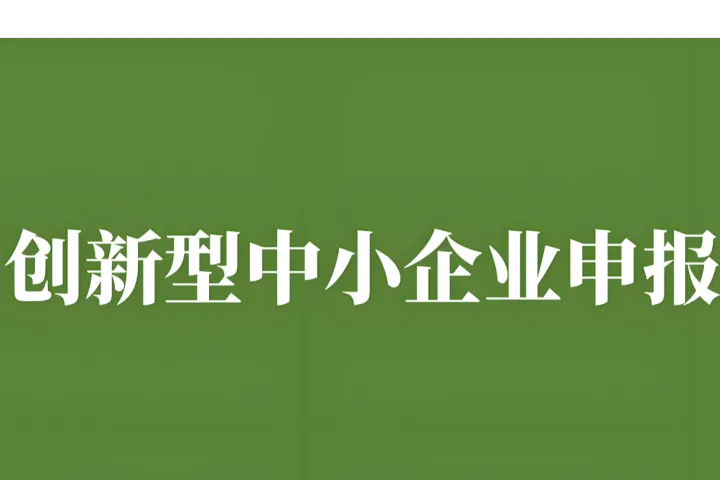 深度盘点：2025年12月创新型中小企业认定申报代办公司机构TOP5实力榜单