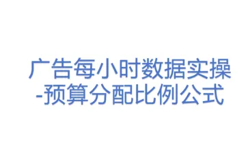 广告每小时数据实操-预算分配比例公式