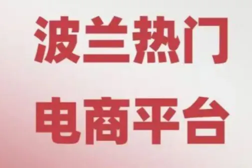 Allegro运营实操指南—— 企业账户激活全流程！