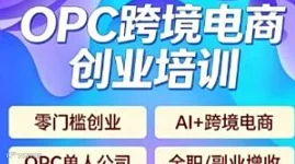 OPC零门槛创业跨境电商，TikTok开店深度运营培训交流沙龙