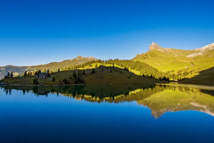 2025企业背书行业实力排行榜出炉，头部机构格局清晰