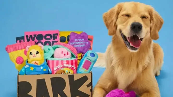 宠物界泡泡玛特！这个品牌靠卖“宠物盲盒”疯狂吸金