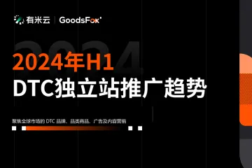 GoodsFox：2024年H1DTC独立站推广趋势报告