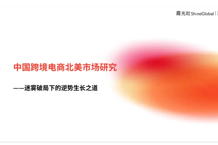 霞光智库:2024中国跨境电商北美市场研究报告