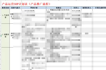 亚马逊新品推广SOP计划表