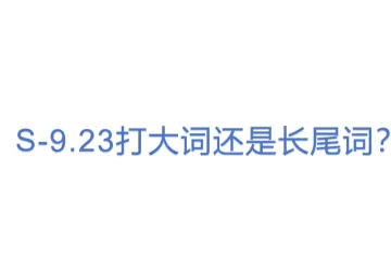 S-9.23打大词还是长尾词？