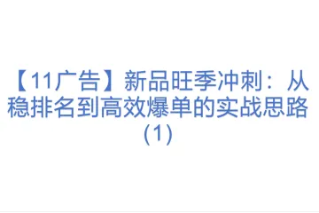【11广告】新品旺季冲刺：从稳排名到高效爆单的实战思路(1)