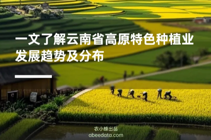 农小蜂：2025一文了解云南省高原特色种植业发展趋势及<em>分布</em>报告