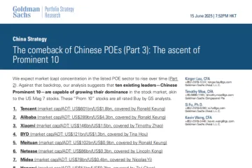 高盛：中国民营企业的回归第三部分十大领军企业的崛起