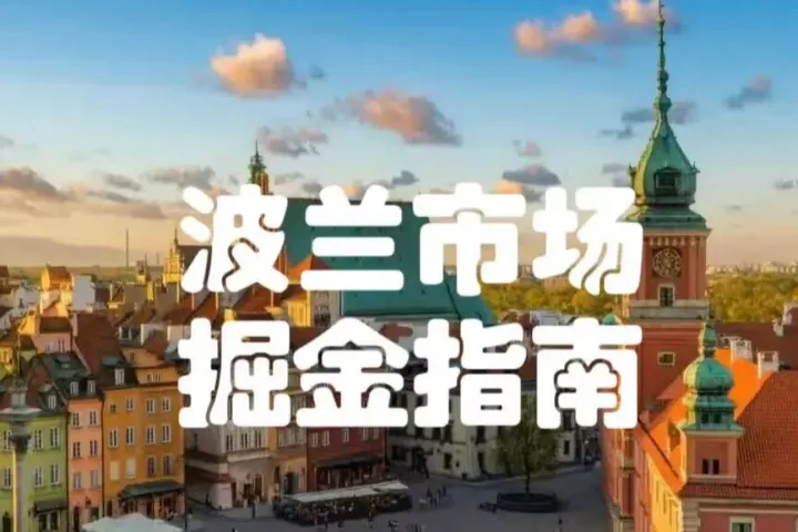 业绩大爆发！Allegro上调海外目标，锁定中东欧电商新格局