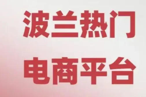 Allegro运营实操指南——波兰站退货政策18个核心问题拆解,卖家必看！