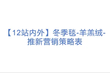 【12站内外】冬季毯-羊羔绒-推新营销策略表(1)