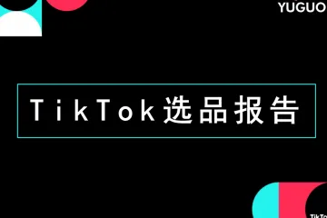 TikTok广告投放选品报告