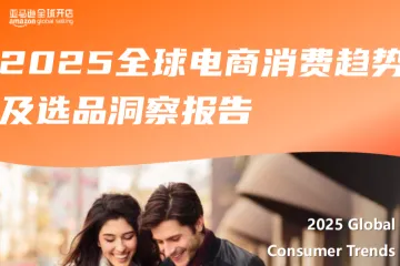 2025全球电商消费趋势及选品洞察报告