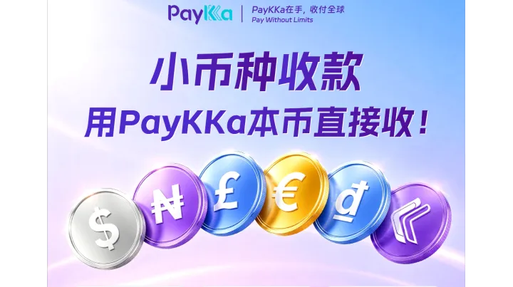 小币种收款难、慢、贵？PayKKa10大本地币种直收，T+0秒到账！