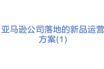 亚马逊公司落地的新品运营方案(1)
