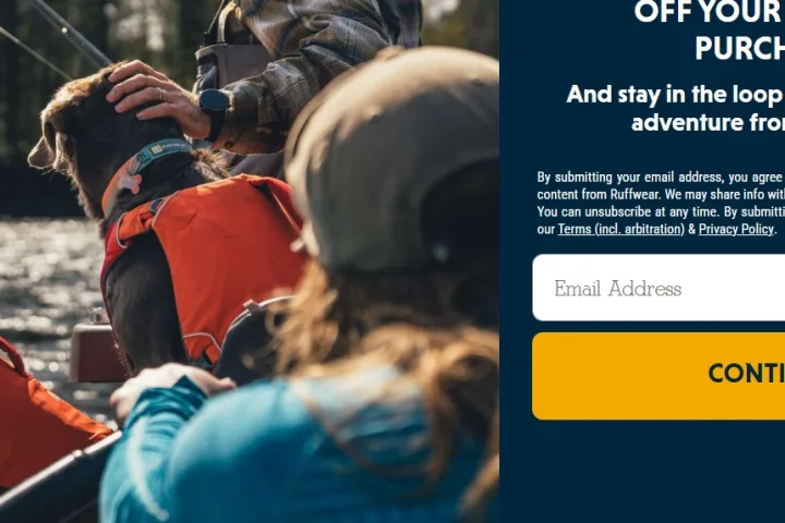 谷歌竞价广告 宠物用品广告情感化表达技巧