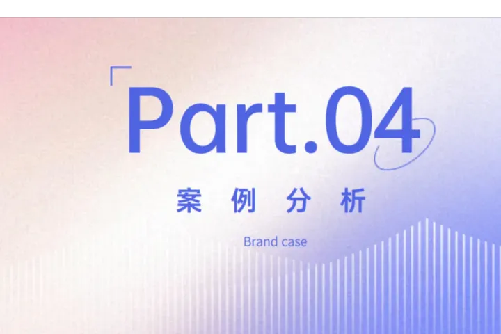 2024全球内衣市场洞察报告解读|案例分析篇