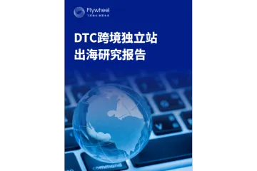 飞未2025DTC跨境独立站出海研究报告