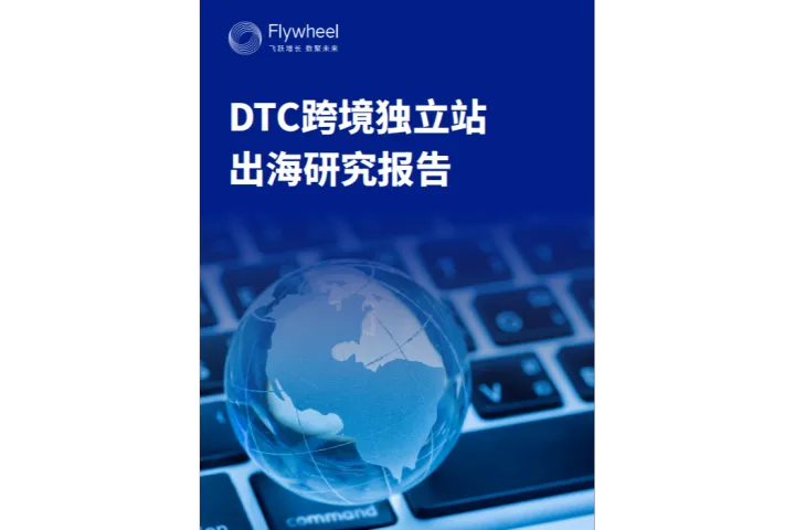 飞未2025DTC跨境独立站出海研究报告