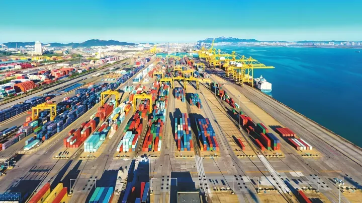 目的港无人提货，谁订舱，谁兜底！