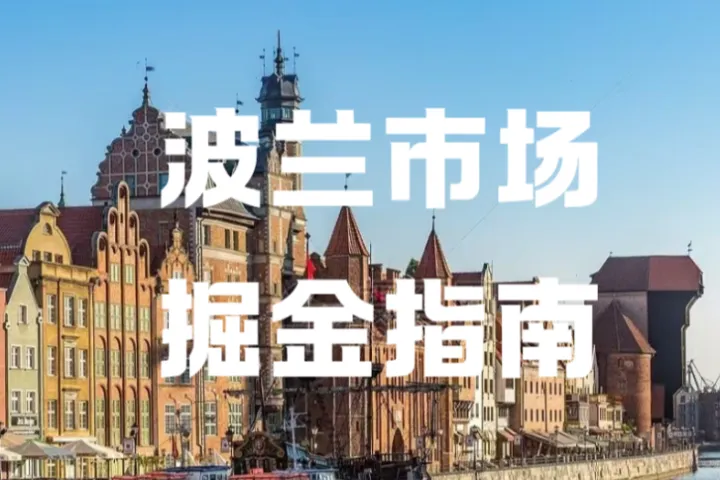 波兰中小企业做跨境电商难？一站式官方指南帮你破局
