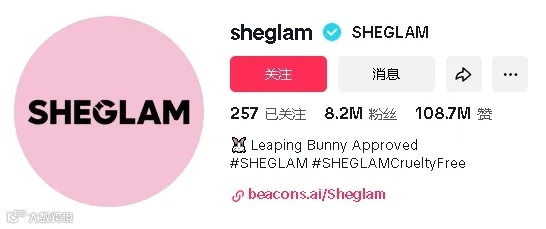 走平价时尚路线,新生品牌Sheglam发力TikTok成为美妆界超级巨星
