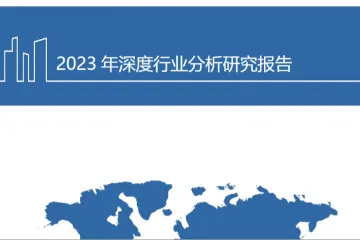 2024拼多多跨境电商Temu商业模式空间展望及优势研判分析报告