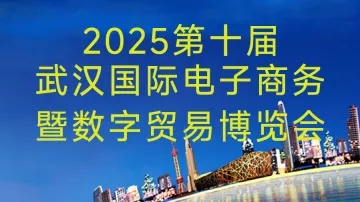9.19 武汉 国际电子商务博览会